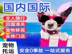湿地航空托运国际宠物托运 【国